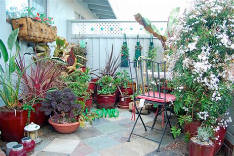 Patio Container Water Garden Ideas Home Decorating Ideas