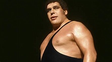 Andre The Giant's unique life story comes to Sky Documentaries | News ...