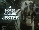 A Horse Called Jester (1979)