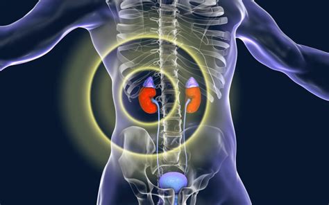 Adrenal Gland Tumor Symptoms Warning Signs To Recognize Scottsdale