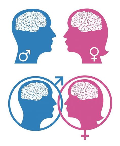 Brain Regulates Social Behavior Differences In Males And Females