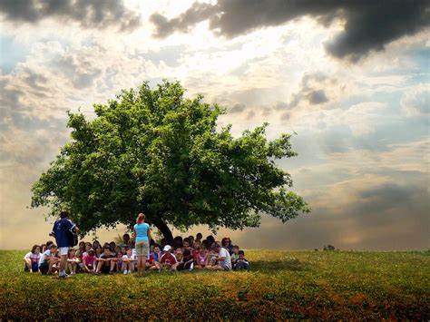 Kids Under Tree Free Photo Download Freeimages