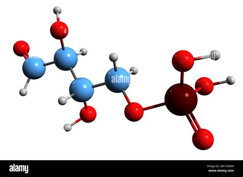 Imagen 3d De La Fórmula Esquelética De Eritrosa 4 Fosfato Estructura