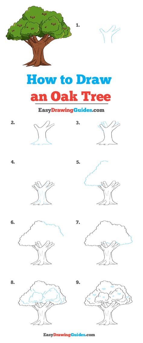 How To Draw An Oak Tree Really Easy Drawing Tutorial Tree Drawing For