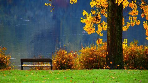 Pretty Fall Backgrounds 51 Images