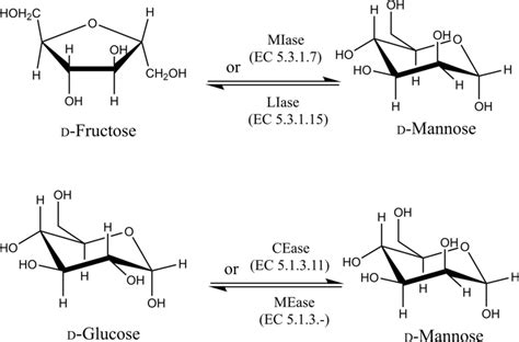 Production Of D Mannose From D Fructose And D Glucose Using Different