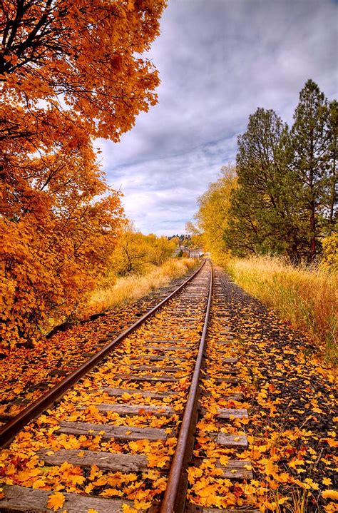 Autumn Railroad