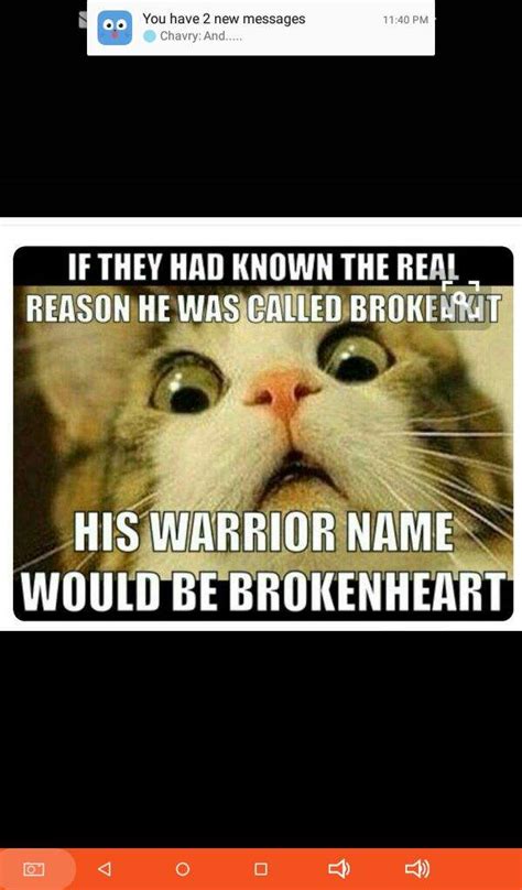 Warriors is a book series written by erin hunter and published by harpercollins. Warrior Cat Memes | Wiki | Warrior Cats Amino Amino