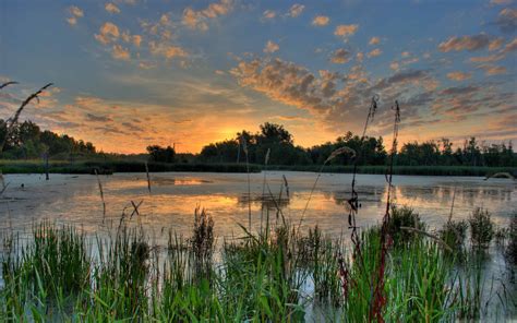 Sunrise Over A Pond In The Minnesota Mac Wallpaper Download