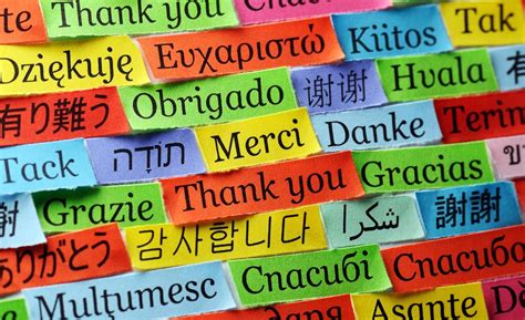 Why learning another language can change your life | TheHill