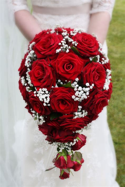 Teardrop dark red rose and gypsophila bride bouquet. -Christine Carter ...