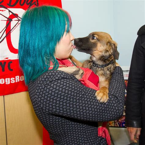 The Miz And Asuka Journey To Rescue Dogs Rock After Winning The Amazing