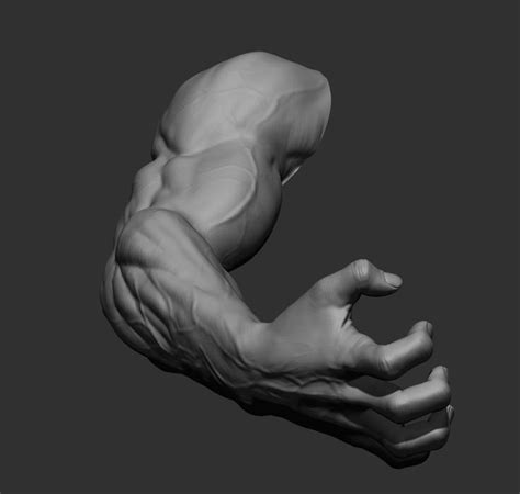 Artstation 12 Male Arms Poses Resources Poses Human Body Arms