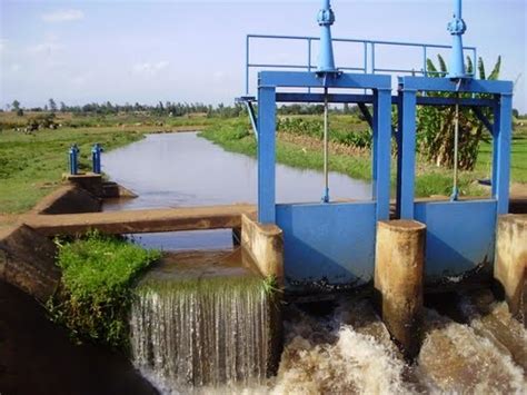 Mwea Irrigation Scheme Project Kenya Weza East Africa