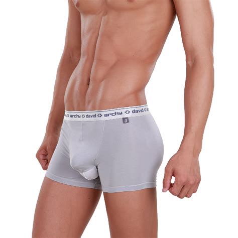 David Archy Mens 4 Pack Micro Modal Separate Pouch Trunks Underwear