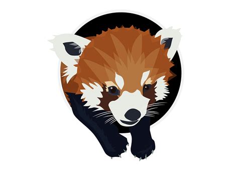 Red Panda Icon On Behance