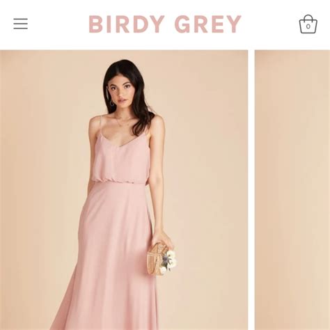 Birdy Grey Dresses Birdy Grey Gwennie Dress Poshmark