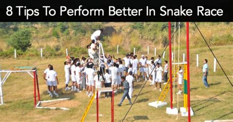 8 Tips To Perform Better In Snake Race