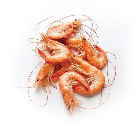 Collection Of Shrimp Hd Png Pluspng