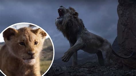 Spoiler Theres An Easter Egg In The Lion King For True Disney Fans