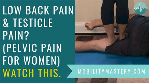 Connection Between Testicle Pain And Pelvic Pain In Women And Low Back Pain Best Single
