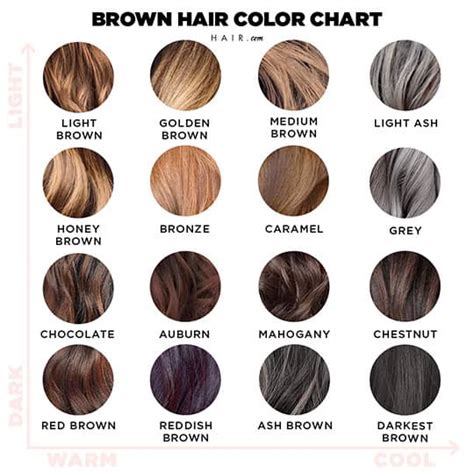 Shades Of Brown Hair Color Chart To Suit Any Complexion Brown Hair Hibba Alford Beauty