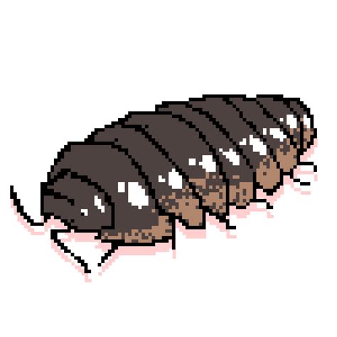 Pill Bug By Goose Animation On Deviantart