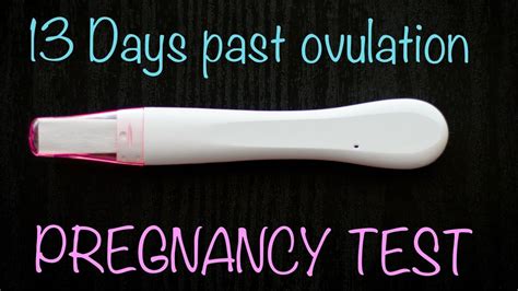 Live Pregnancy Test 13 Dpo Youtube