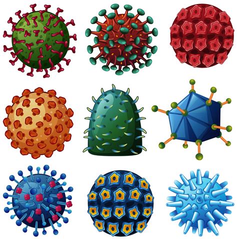 A virus is a submicroscopic infectious agent that replicates only inside the living cells of an organism. Different types of viruses - Download Free Vectors ...