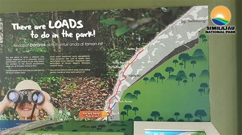 Similajau National Park Bintulu 2020 All You Need To Know Before