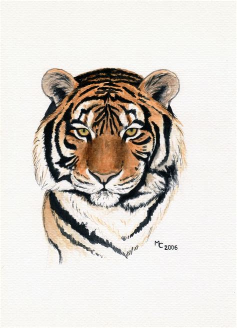Aquarelle originale tête de tigre Peintures par savousepate