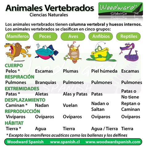 Los Animales Vertebrados Woodward Spanish