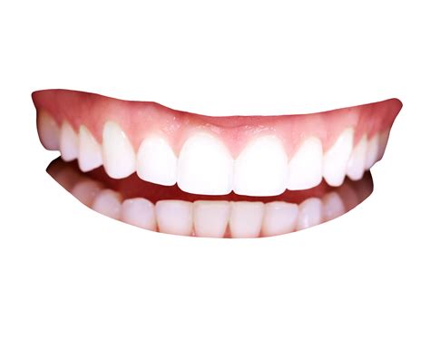 Human Tooth Teeth Png Download 25001976 Free Transparent Tooth