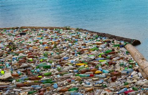 Coca Cola Pepsico Nestlé Worst Plastic Polluters In Global Cleanups