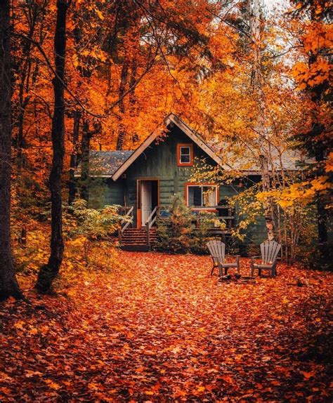 autumn foliage autumn leaves autumn colors cabins in the woods scenery autumn scenery