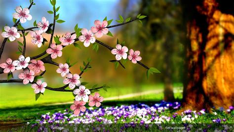 Free Download Spring Flowers 3d Parallax Live Wallpaper