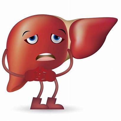 Liver Disease Hepatitis Clipart Symptoms Signs Hep