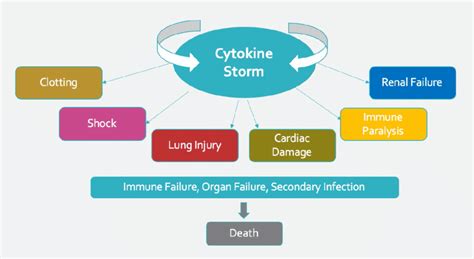 Cytokine Storm Induced By Covid 19 Infection In Some Patients Results