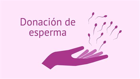 Donante De Esperma En Lima Per Donante De Esperma En Lima Per