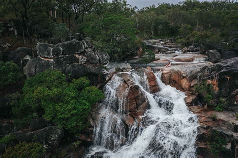 Best Things To Do In Atherton Tablelands 2023 Guide