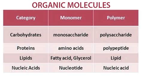 Organic Molecules Types Of Organic Molecules