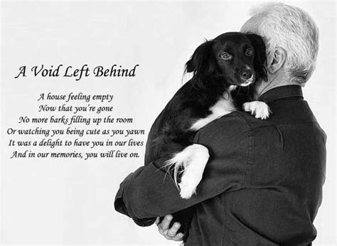 10 Short Loss Of A Dog Poems Pet Lose Quotes And Poems