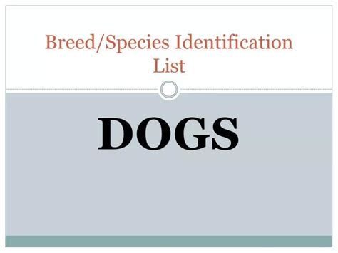 Ppt Breedspecies Identification List Powerpoint Presentation Free
