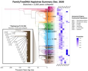 Big Y Highlights For 2020 | Y-DNA | FamilyTreeDNA Blog