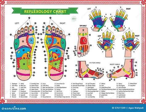 Hand Reflexology Chart Description Vector Illustration 42172160