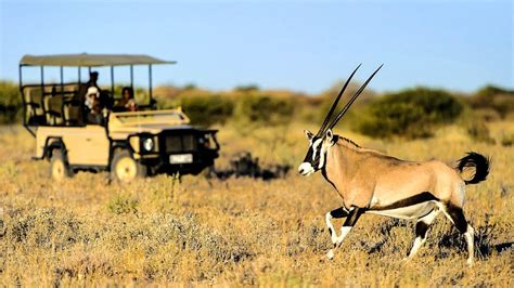 Wildlife Regions In Botswana African Safaris With Taga Safaris Africa