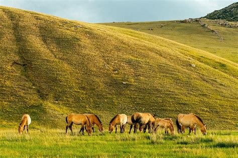 Top 10 Tourist Attractions In Mongolia Travel Mongolia