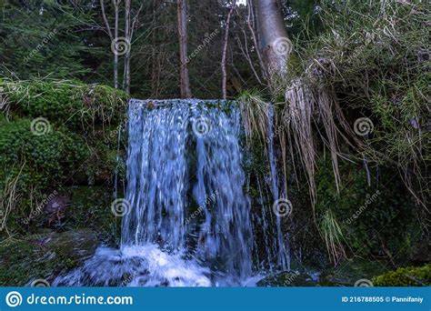 Cascade Falls Over Mossy Rocks Stock Image Image Of Flowing Stream