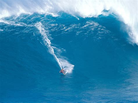 Surfing Maui Surfing Wallpaper 23339750 Fanpop