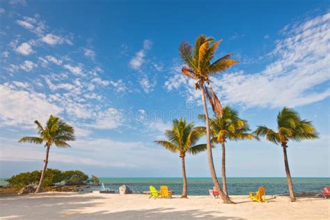 Summer Beach Scene With Palm Trees And Lounge Chairs Stock Photo